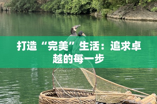 打造“完美”生活：追求卓越的每一步