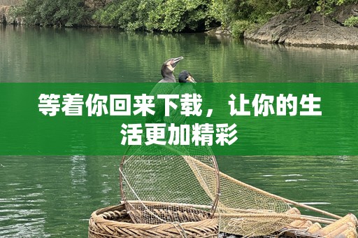 等着你回来下载，让你的生活更加精彩