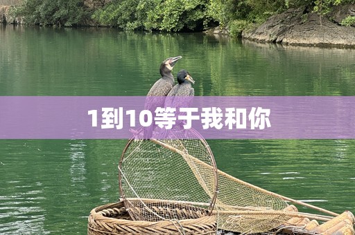 1到10等于我和你
