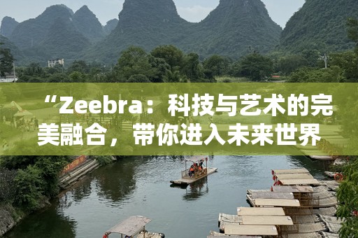 “Zeebra：科技与艺术的完美融合，带你进入未来世界”
