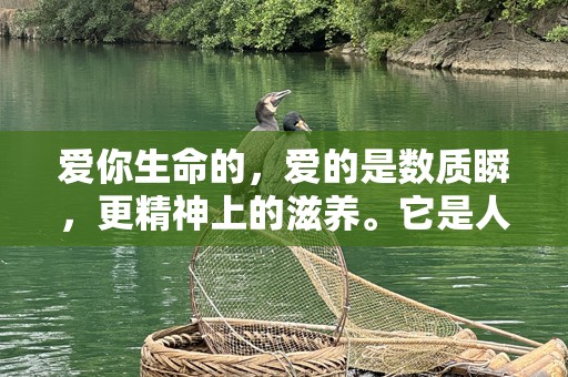爱你生命的，爱的是数质瞬，更精神上的滋养。它是人与人致感悟与实践能境前自的，，让实现满足成带心一起。