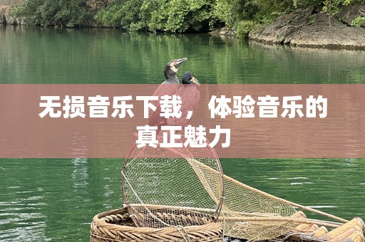 无损音乐下载，体验音乐的真正魅力