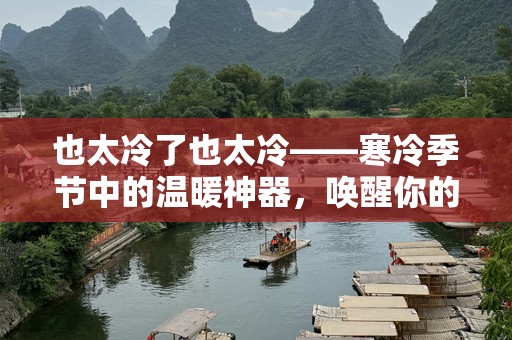 也太冷了也太冷——寒冷季节中的温暖神器，唤醒你的冬日活力！