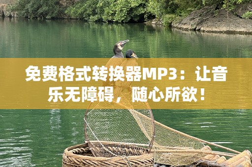 免费格式转换器MP3：让音乐无障碍，随心所欲！