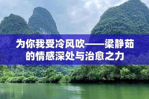 为你我受冷风吹——梁静茹的情感深处与治愈之力