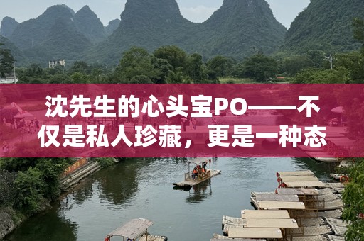 沈先生的心头宝PO——不仅是私人珍藏，更是一种态度