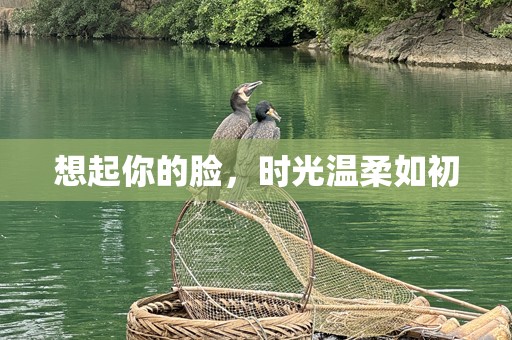 想起你的脸，时光温柔如初