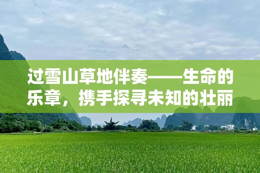 过雪山草地伴奏——生命的乐章，携手探寻未知的壮丽