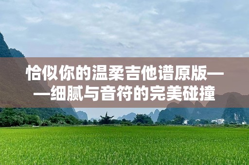 恰似你的温柔吉他谱原版——细腻与音符的完美碰撞