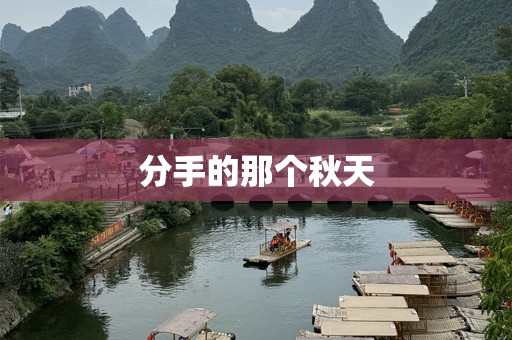 分手的那个秋天