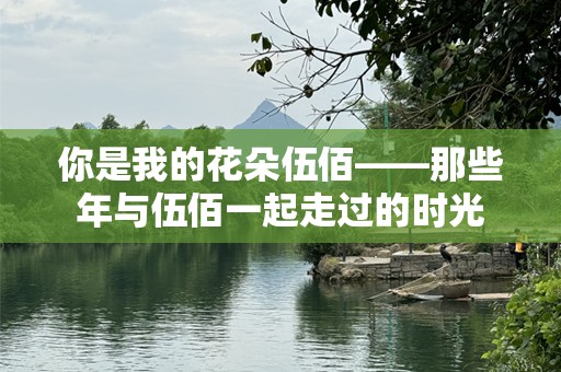 你是我的花朵伍佰——那些年与伍佰一起走过的时光