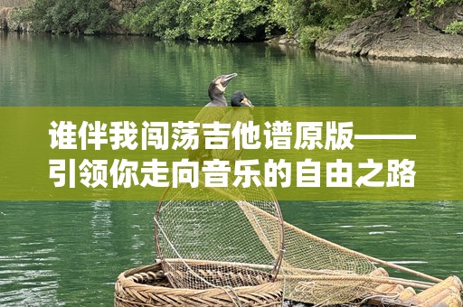 谁伴我闯荡吉他谱原版——引领你走向音乐的自由之路
