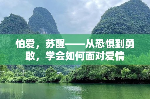 怕爱，苏醒——从恐惧到勇敢，学会如何面对爱情