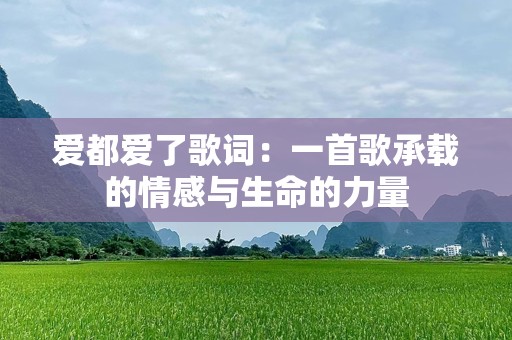 爱都爱了歌词：一首歌承载的情感与生命的力量