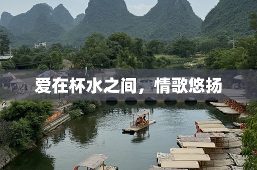 爱在杯水之间，情歌悠扬