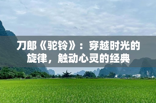 刀郎《驼铃》：穿越时光的旋律，触动心灵的经典