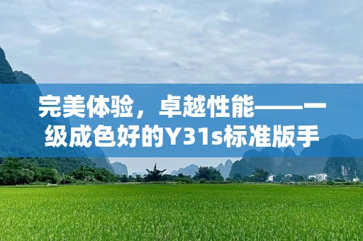 完美体验，卓越性能——一级成色好的Y31s标准版手机，让你惊艳不已！