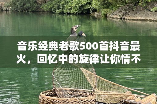 音乐经典老歌500首抖音最火，回忆中的旋律让你情不自禁！