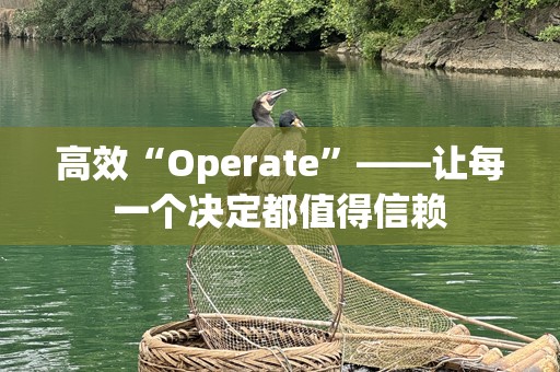高效“Operate”——让每一个决定都值得信赖
