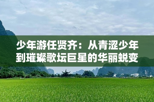 少年游任贤齐：从青涩少年到璀璨歌坛巨星的华丽蜕变