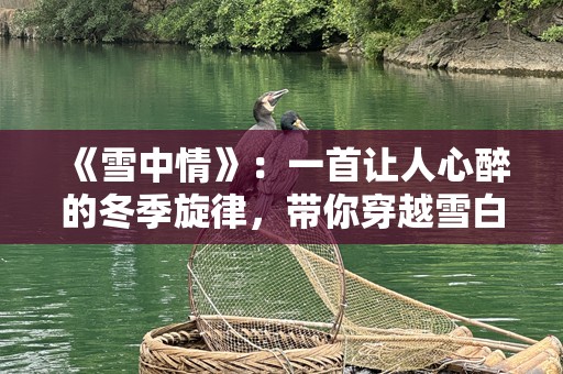 《雪中情》：一首让人心醉的冬季旋律，带你穿越雪白的爱恋
