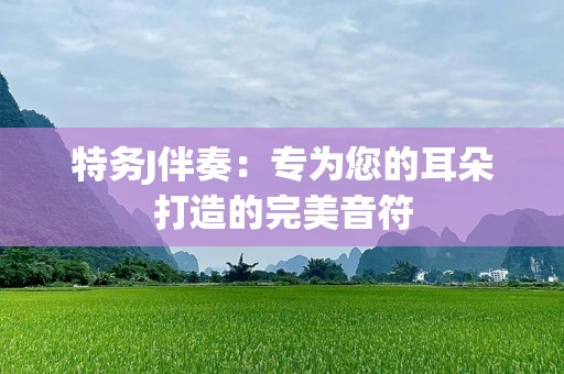 特务J伴奏：专为您的耳朵打造的完美音符