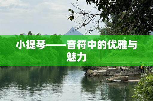 小提琴——音符中的优雅与魅力