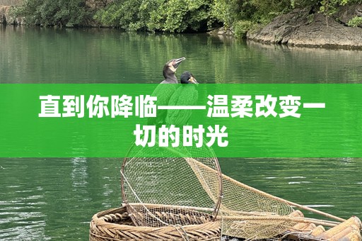 直到你降临——温柔改变一切的时光