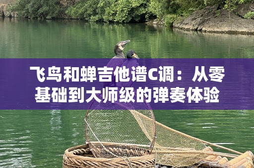 飞鸟和蝉吉他谱C调：从零基础到大师级的弹奏体验
