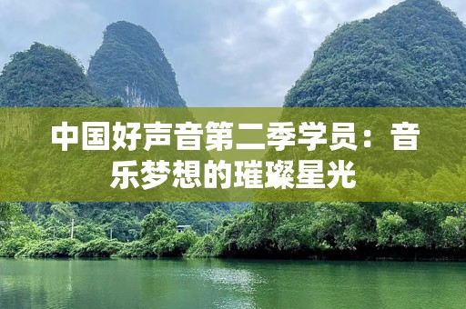 中国好声音第二季学员：音乐梦想的璀璨星光