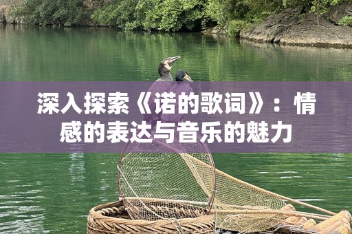 深入探索《诺的歌词》：情感的表达与音乐的魅力