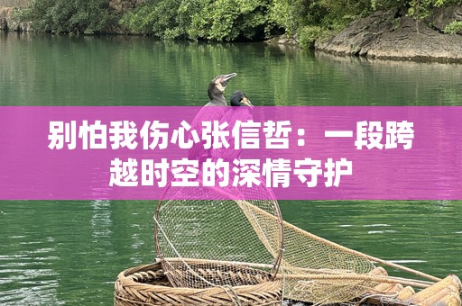 别怕我伤心张信哲：一段跨越时空的深情守护