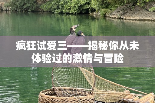 疯狂试爱三——揭秘你从未体验过的激情与冒险