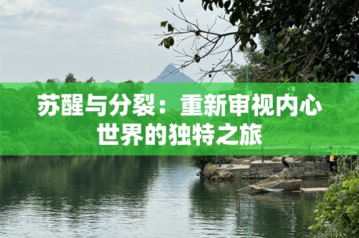 苏醒与分裂：重新审视内心世界的独特之旅