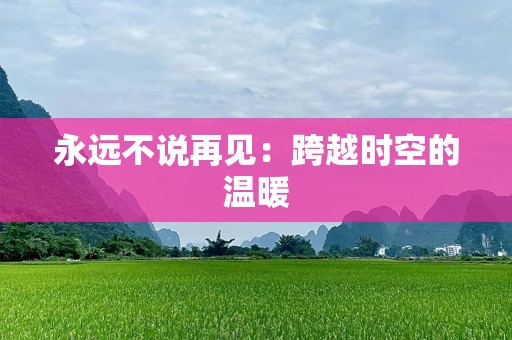 永远不说再见：跨越时空的温暖