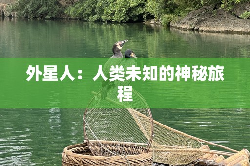 外星人：人类未知的神秘旅程
