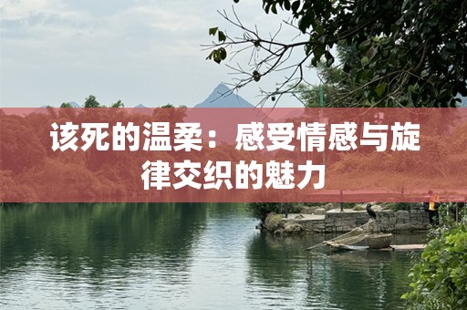 该死的温柔：感受情感与旋律交织的魅力