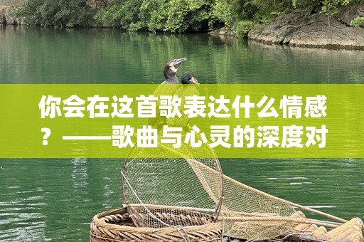 你会在这首歌表达什么情感？——歌曲与心灵的深度对话