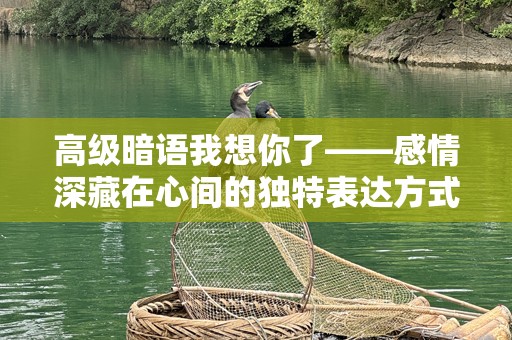 高级暗语我想你了——感情深藏在心间的独特表达方式