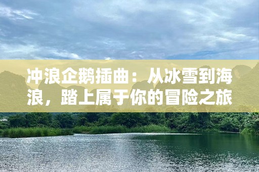冲浪企鹅插曲：从冰雪到海浪，踏上属于你的冒险之旅