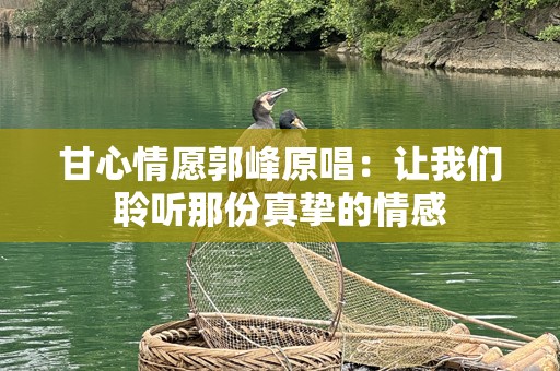甘心情愿郭峰原唱：让我们聆听那份真挚的情感