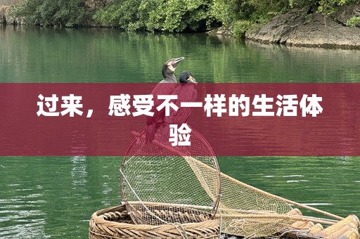 过来，感受不一样的生活体验