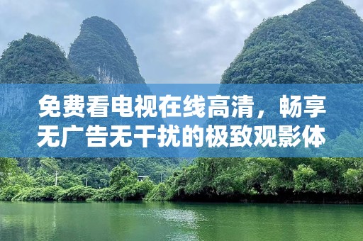 免费看电视在线高清，畅享无广告无干扰的极致观影体验