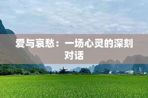 爱与哀愁：一场心灵的深刻对话