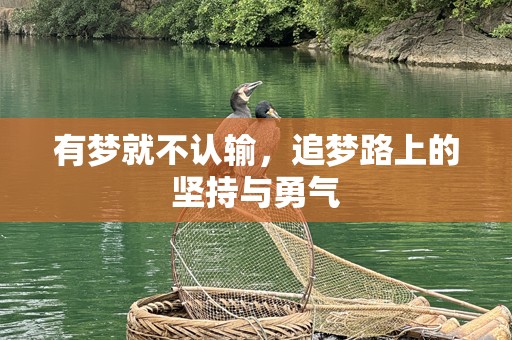 有梦就不认输，追梦路上的坚持与勇气