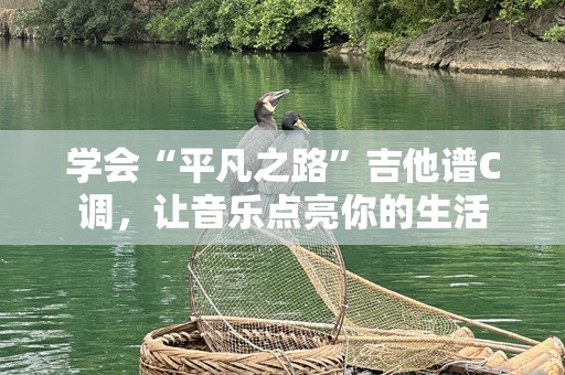 学会“平凡之路”吉他谱C调，让音乐点亮你的生活