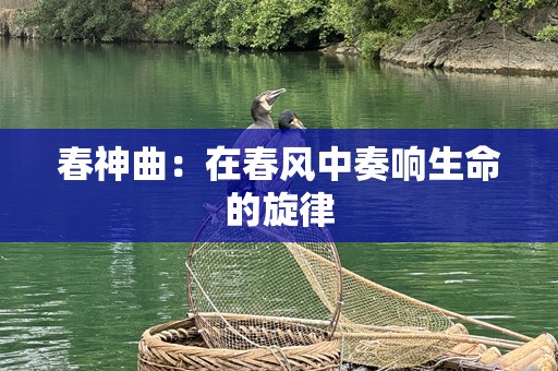 春神曲：在春风中奏响生命的旋律