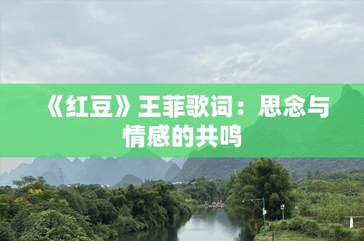 《红豆》王菲歌词：思念与情感的共鸣