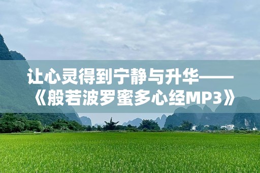 让心灵得到宁静与升华——《般若波罗蜜多心经MP3》带你走进智慧的世界