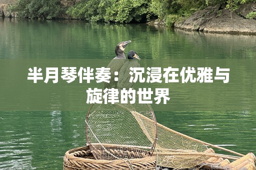 半月琴伴奏：沉浸在优雅与旋律的世界